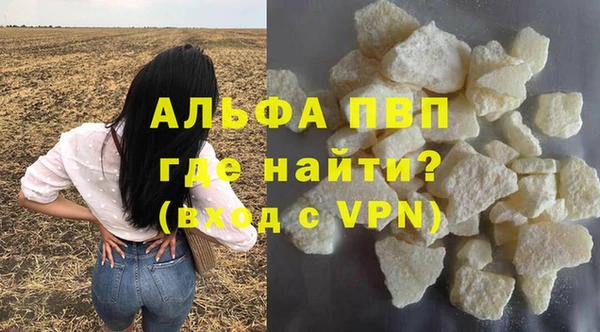 стаф Беломорск