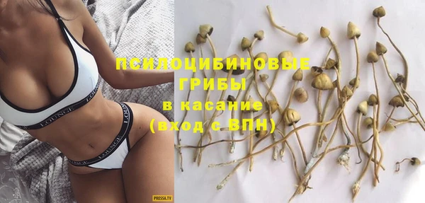 спиды Белокуриха