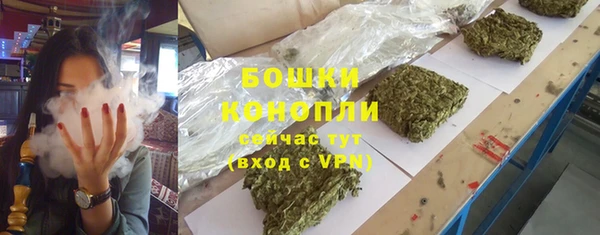 стаф Беломорск