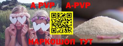 индика Камышлов