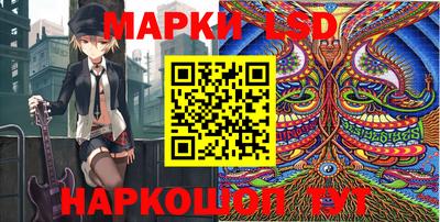 индика Камышлов