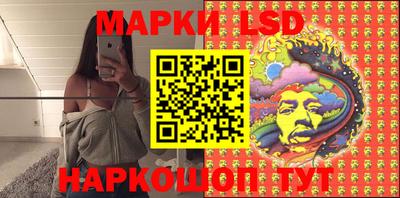 индика Камышлов