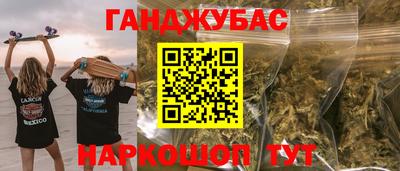 индика Камышлов