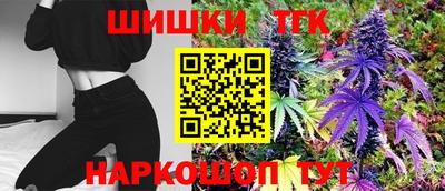 индика Камышлов
