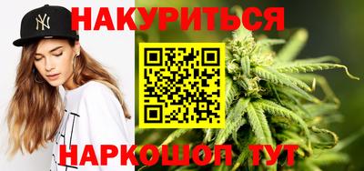 индика Камышлов