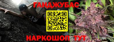индика Камышлов