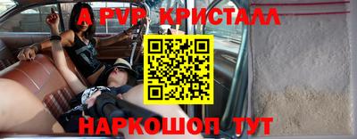индика Камышлов