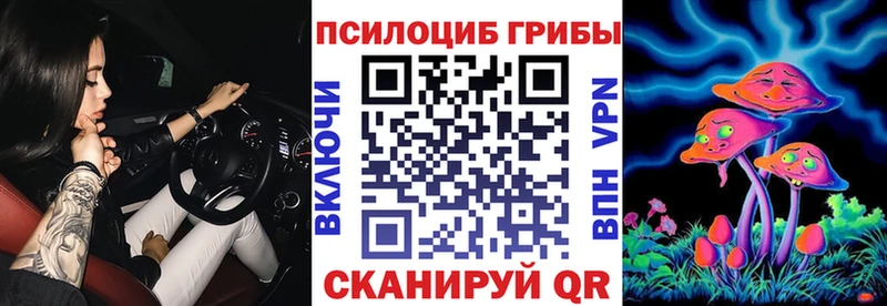 кракен   Унеча  Галлюциногенные грибы GOLDEN TEACHER 