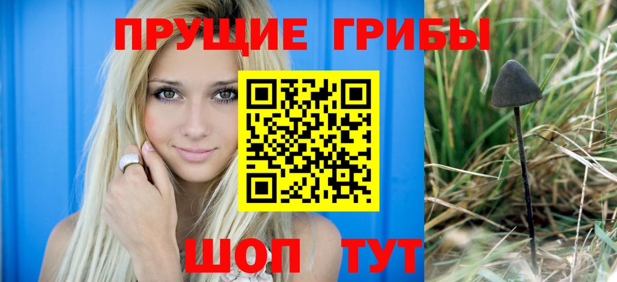 Галлюциногенные грибы прущие грибы Унеча